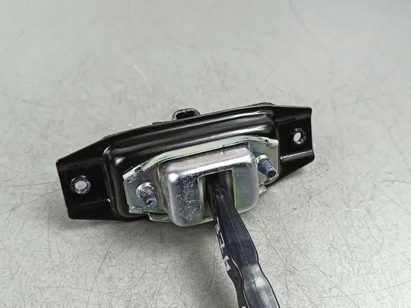 Limitador de porta dianteira direita Nissan X-Trail T33 2024 FOB54783 image 4