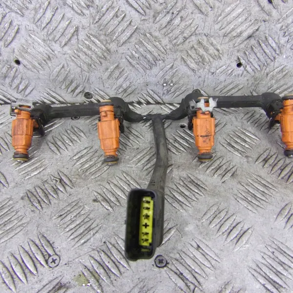 Conjunto de injetores de combustível Peugeot 307 image 1