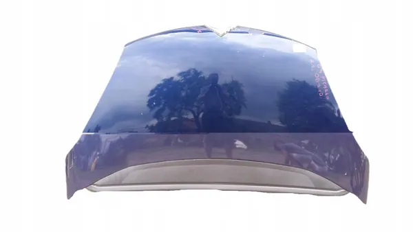 Motorhuv Citroen C4 Picasso 06-10 OEM 7901N7 image 6