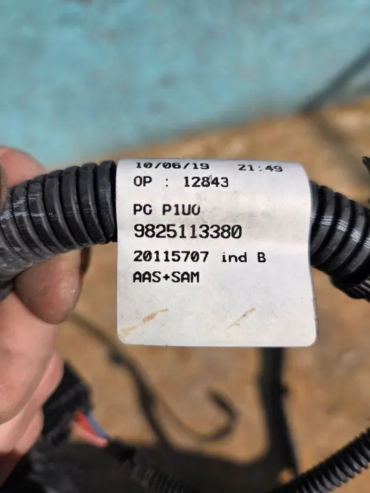 Cabo PDC Dianteiro OEM 9825113380 para Opel Grandland X image 3