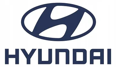 Hyundai Främre Höger Skärm image 5