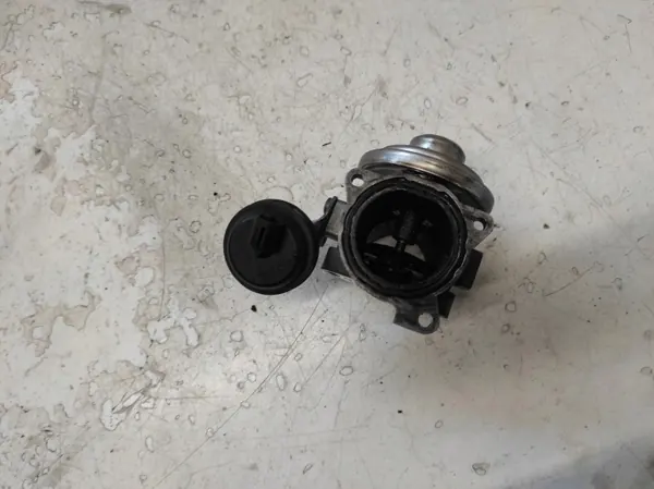 Válvula EGR VW PASSAT B5 OEM RTEKO PAW1026 image 4