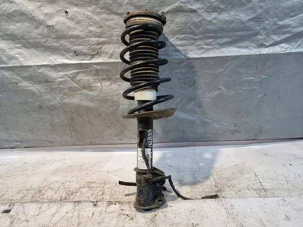 Amortizzatore McPherson Destro Fiat Fiorino III image 2