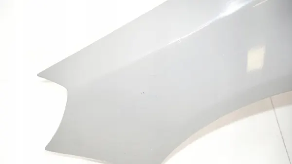 Para-lamas dianteiro esquerdo OEM 365577682 Skoda Fabia II image 5