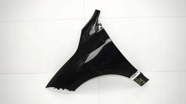 Aile avant gauche OEM 360172881 pour Renault Megane III image 2