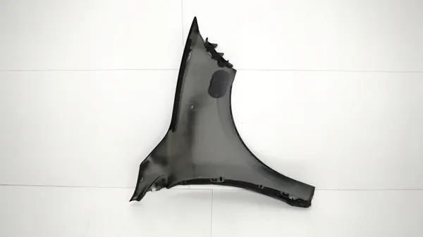 Aile avant gauche OEM 360172881 pour Renault Megane III image 10