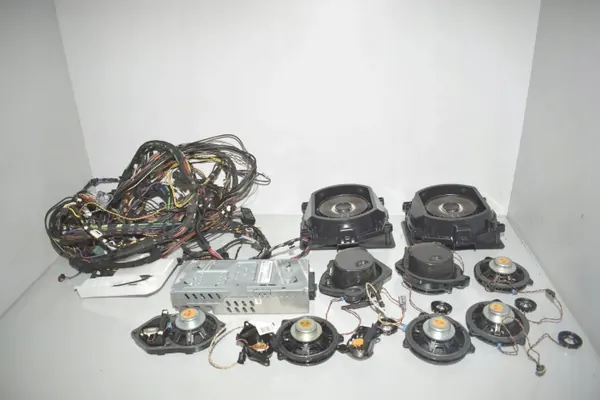 Système audio BMW OE OEM 9237281 pour X4 F26 image 6