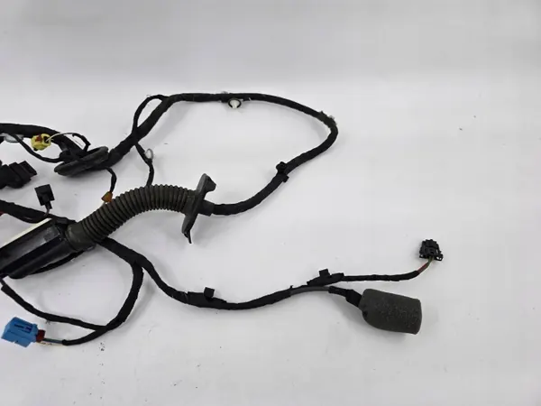 Faisceau de porte avant Audi A5 Sportback 8W8971035AE image 3