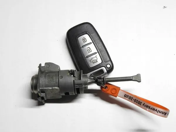 Inserción Puerta Hyundai ix35 09-13 OEM FLS6068 image 2