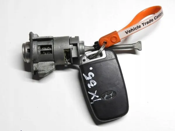Inserción Puerta Hyundai ix35 09-13 OEM FLS6068 image 3