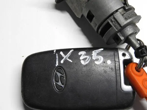 Inserción Puerta Hyundai ix35 09-13 OEM FLS6068 image 4