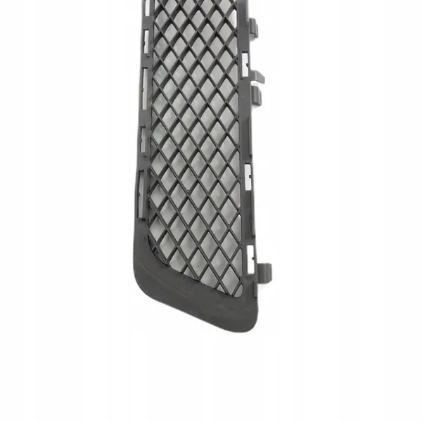 Grille Centrale de Pare-chocs Avant Mercedes W212 image 9