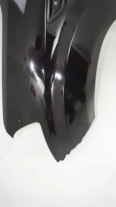 Voorlinker spatbord OEM 360200892 voor Kia Soul I 08-11 image 5