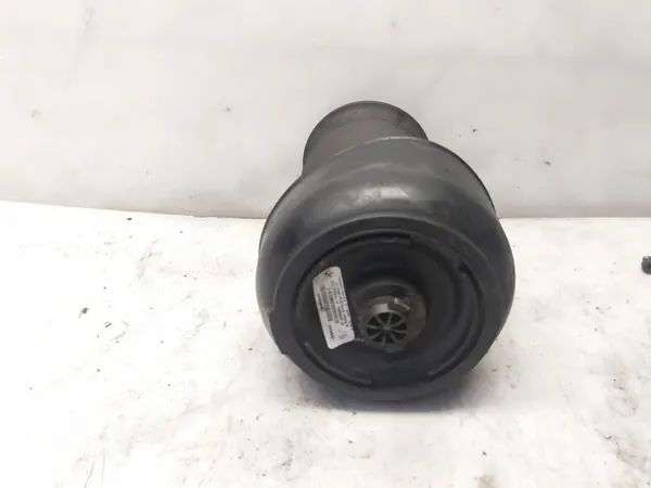 Molla ad aria posteriore X6 F16 6795014 image 2