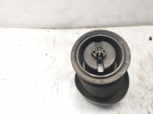 Molla ad aria posteriore X6 F16 6795014 image 3