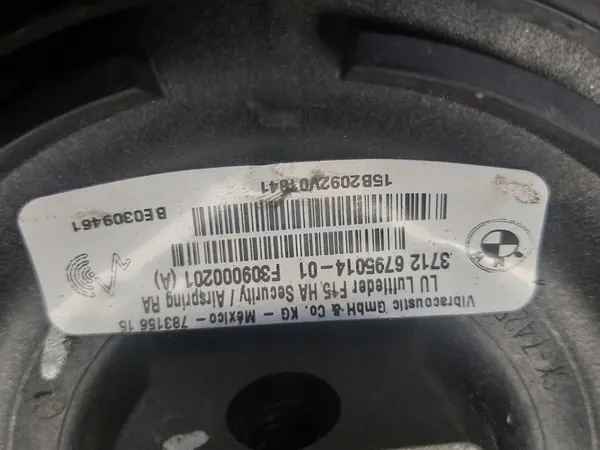 Molla ad aria posteriore X6 F16 6795014 image 4