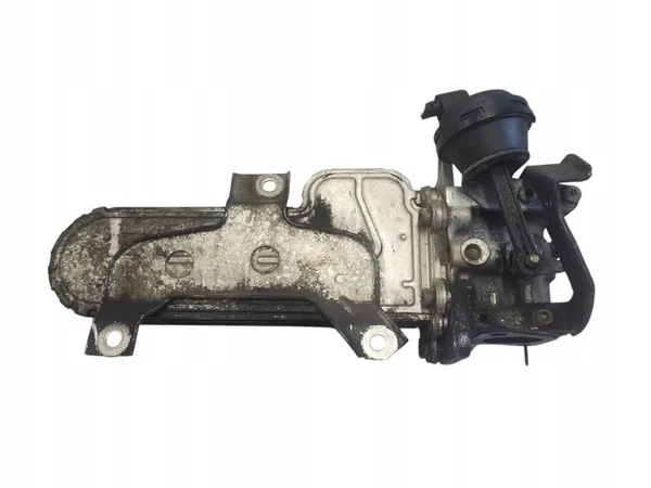 EGR-Kühler Volkswagen Golf V 038131513D image 3