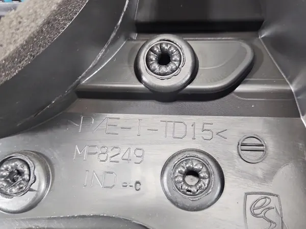 Panel de puerta delantera izquierda OEM 809015319R Renault Express image 4