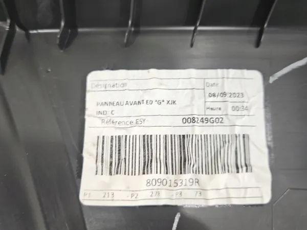 Panel de puerta delantera izquierda OEM 809015319R Renault Express image 5