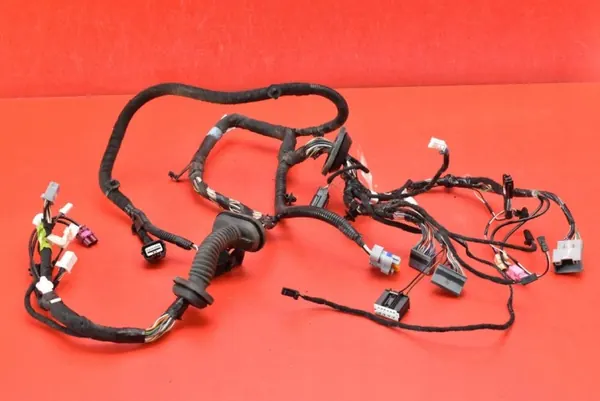Türkabelbaum OEM 1004424-00-P Vorne Rechts image 2
