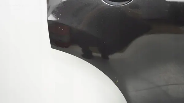Puerta trasera derecha OEM 360205792 Nissan Qashqai J10 image 4