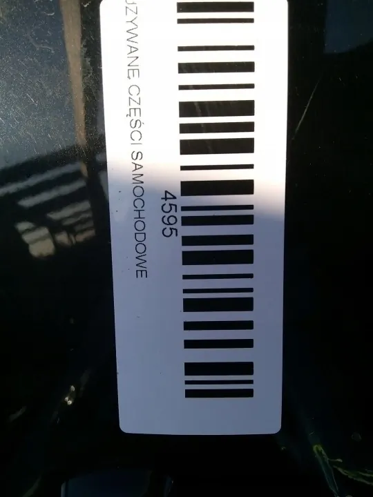 Puerta trasera derecha OEM 360205792 Nissan Qashqai J10 image 7