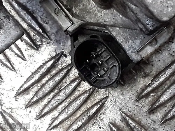 Fiat 500 L Gaspedal 2014 1300jtd 55255919 image 4