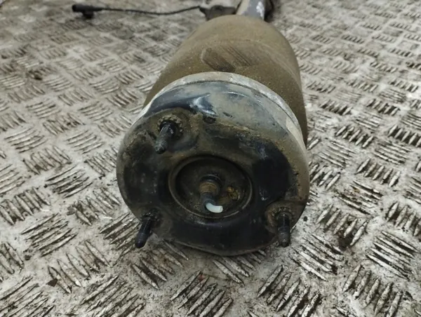 Amortecedor pneumático dianteiro direito OEM 17140007693 image 3