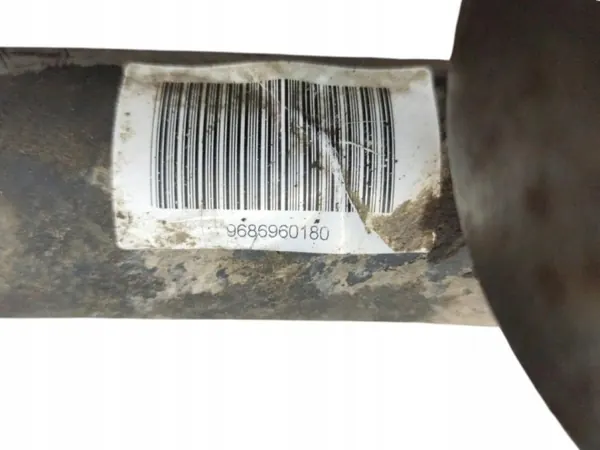 Linker hinterer Stoßdämpfer OEM 9686960180 Citroen C5 image 3