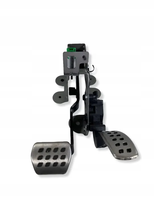 Kaasupoljinpotentiometri OEM 180024040R Renault image 2