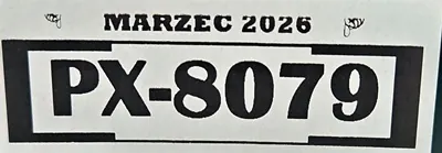 OEM 9827687380 A-NEX Capa de soleira dianteira direita image 6
