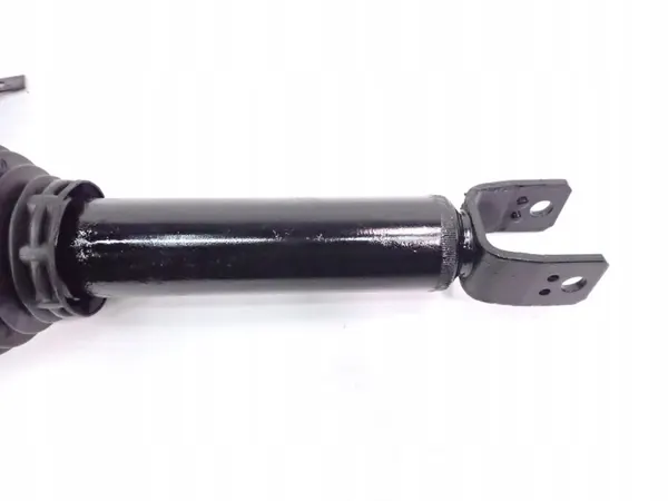 Ammortizzatore Pneumatico Posteriore Audi A8 D3 image 6