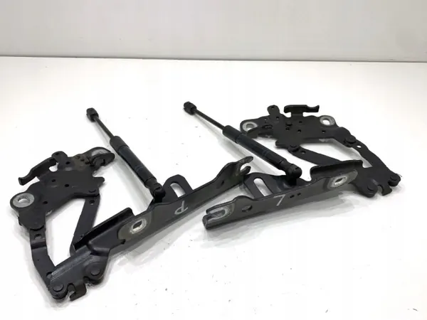 OEM 7336700 Bisagra del Capó Delantera BMW F31 image 2