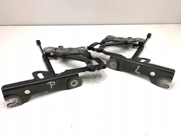 OEM 7336700 Bisagra del Capó Delantera BMW F31 image 3
