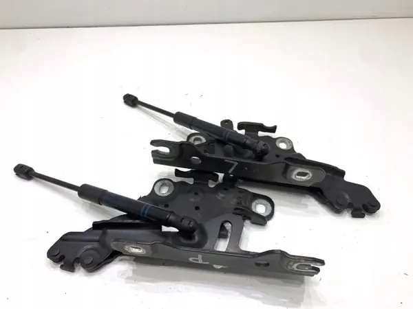 OEM 7336700 Bisagra del Capó Delantera BMW F31 image 4