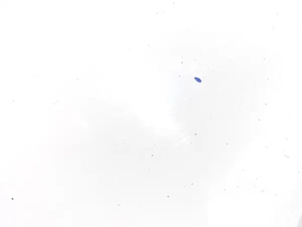 Vasen Peili VW CC B7 Sport/Coupe 11-16 Candy White OEM image 3