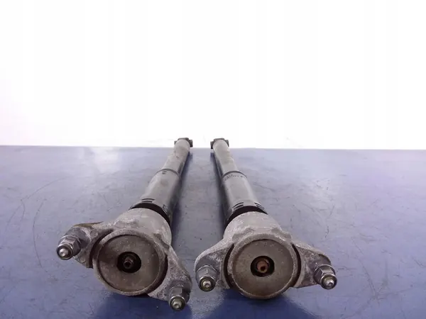 Ammortizzatori Posteriori MERCEDES A W176 image 3