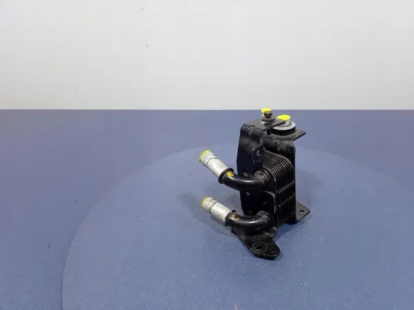 Échangeur de chaleur OEM 952124/Ambit pour Fiat 500E image 2