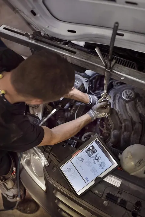 SKF VKML 85000 Timing Chain Set image 4