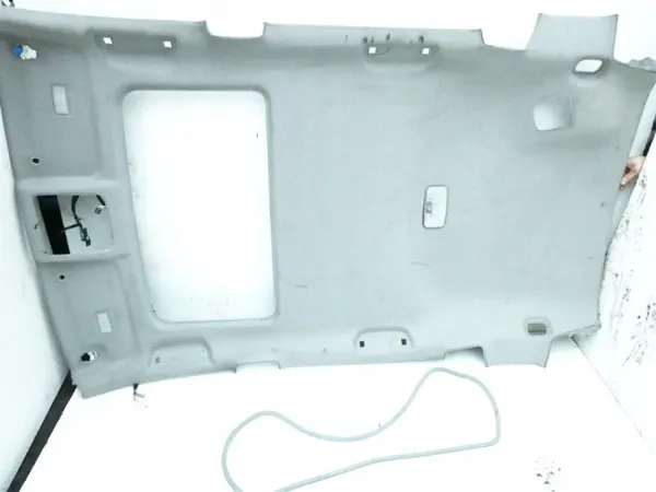 OEM 06-12RAFZGVBNM Teto Toyota RAV4 2006-2012 image 2