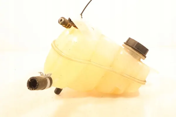 Nivellierbehälter OEM ZWFSMAXIILIFT Ford S-Max II image 3