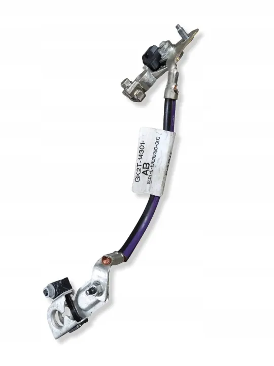 Ford negatieve poolklem GK2T14301 image 2