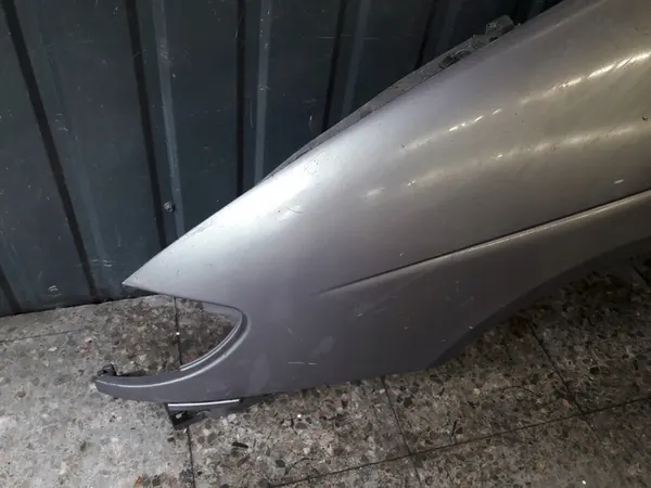 Vänster framskärm Renault Megane Scenic 7700843699 image 3