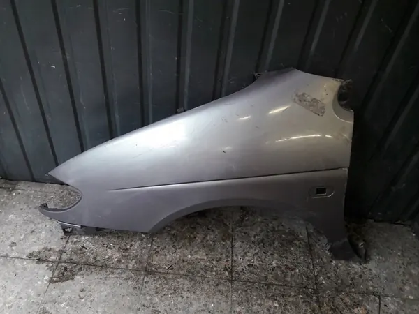 Vänster framskärm Renault Megane Scenic 7700843699 image 8