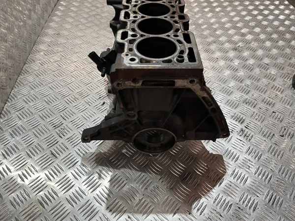 Motorblok Nissan Qashqai J10 1.5 DCI K9K430 image 4