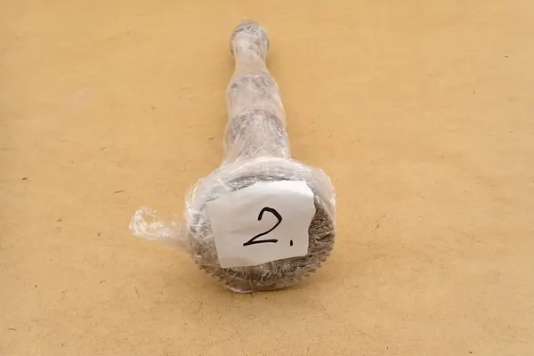 Eje de levas de escape FIAT TIPO 1.4 16V 46434593 OEM image 10