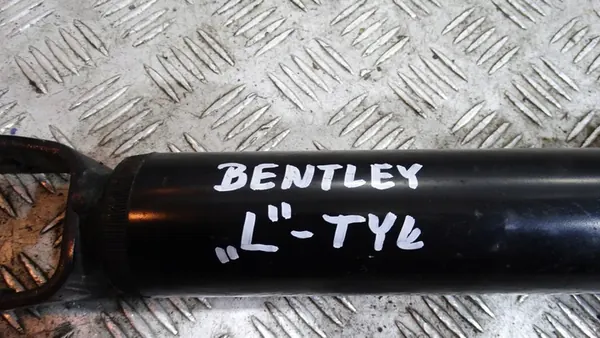 AMMORTIZZATORE SINISTRO BENTLEY CONTINENTAL GT 3W0616001E image 3