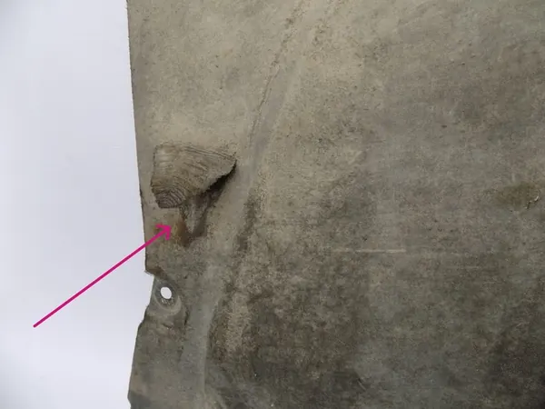 Motorhuv Renault Clio V Original 2020 image 3