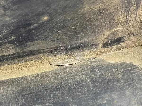 Mercedes-Benz C W203 2006 Passaruota anteriore sinistro image 4