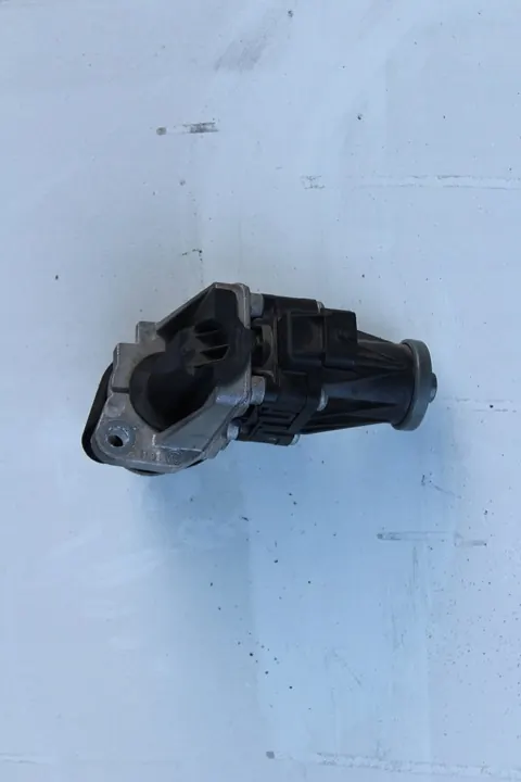 Renault EGR-venttiili H8200129863 image 2